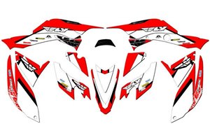 Kit de pegatinas compatible con per HONDA TRX 400 EX 2008 - 2018 - MXPKAD14967