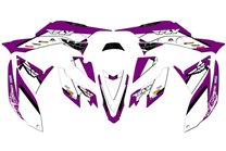 Kit adesivi compatibile con per HONDA TRX 400 EX 2008 - 2018 - MXPKAD14967