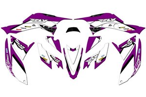 Kit Autocollants compatible avec per HONDA TRX 400 EX 2008 - 2018 - MXPKAD14967
