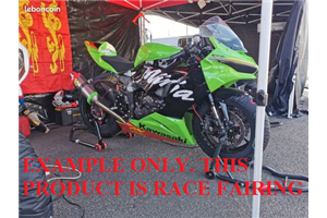 Painted Race Fairings Kawasaki Zx6R 2019 - 2022 - MXPCRV14218
