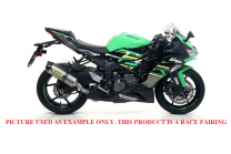 Carenage Racing Peint Kawasaki Zx6R 2019 - 2022 - MXPCRV14218