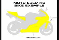 Carene Racing Verniciate Yamaha R1 2020 - 2025 + adesivi in omaggio - MXPCRV16180