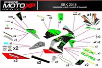 Kit de pegatinas compatible con Kawasaki Zx6R 2009 - 2012 - MXPKAD9753