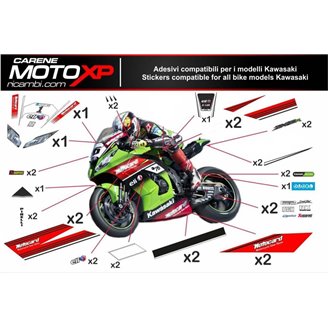 Kit de pegatinas compatible con Kawasaki Zx6R 636 2013 - 2018 - MXPKAD9771