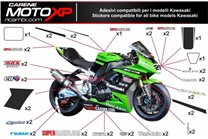 Kit de pegatinas compatible con Kawasaki Zx10R 2006 - 2007 - MXPKAD9825