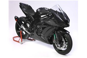 Lackierte Rennverkleidung Kawasaki Zx10R 2016 - 2020 - MXPCRV5993