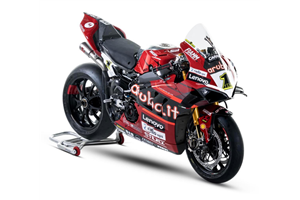 Painted Race Fairings Ducati Panigale V4 R 2019 - 2021 - MXPCRV16424