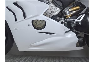 Carénages Ducati Panigale V4R V4 2019 - 2021 VS2 sans Pare-boue - MXPCRD16476