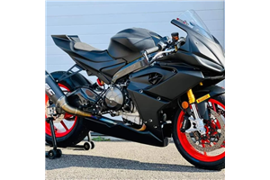 Lackierte Rennverkleidung Aprilia RS 660 2020 - 2023 - MXPCRV16564