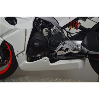 racing fairings Aprilia RS 660 2020 - 2021 in 5 pieces without front fender - MXPCRD12966