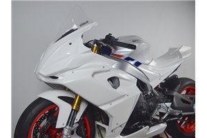 racing fairings Aprilia RS 660 2020 - 2021 in 5 pieces without front fender - MXPCRD12966