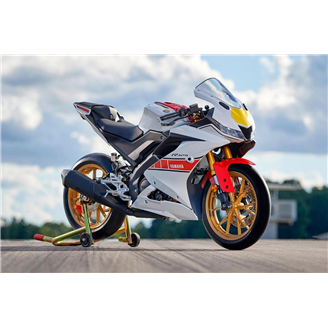 Painted street fairings in abs compatible with Yamaha YZF R125 2019 - 2020 - MXPCAV16666