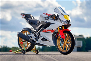 Lackierte Straße Verkleidung auf ABS kompatibel mit Yamaha YZF R125 2019 - 2020 - MXPCAV16666
