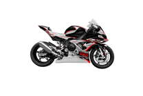Lackierte Rennverkleidung Bmw S1000 RR 2023 - MXPCRV16755