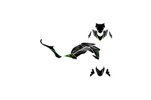Aufkleber Satz kompatibel mit per KAWASAKI Z900 2017 - 2019 - MXPKAD15367