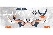 Sticker set compatible with per KTM 790 890 Adventure R 2019 - 2023 - MXPKAD16279