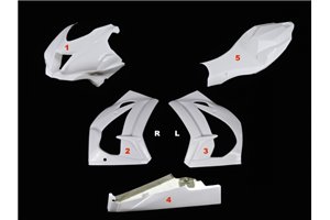 Race Package Kawasaki Zx10R 2016 - 2020 : racing fairings + Fasteners - MXPCRD11590