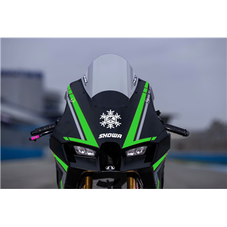 Carene Racing Verniciate Kawasaki Zx10R 2021 - 2024 MXPCRV17074