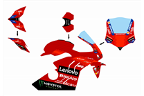 Painted Race Fairings Ducati Panigale V4 R 2019 - 2021 - MXPCRV17159