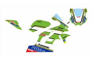 Carenage Racing Peint Kawasaki Zx10R 2021 - 2024 MXPCRV17262