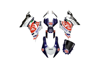 Lackierte Straße Verkleidung auf ABS kompatibel mit Yamaha R6 2017 - 2024 - MXPCAV17334