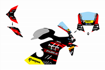 Painted Race Fairings Ducati Panigale V4 R 2019 - 2021 - MXPCRV17400 2