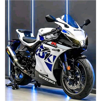 Carenage en abs pour la roue avec peinture compatible avec Suzuki Gsxr 1000 2017 - 2024 - MXPCAV17324