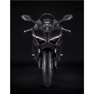 Lackierte Straße Verkleidung auf ABS kompatibel mit Ducati Panigale V2 2020 - 2024 - MXPCRV17278