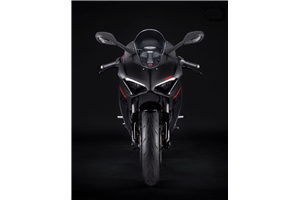 Lackierte Straße Verkleidung auf ABS kompatibel mit Ducati Panigale V2 2020 - 2024 - MXPCRV17278