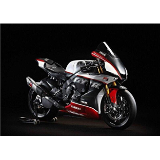 Lackierte Rennverkleidung Yamaha R1 2020 - 2024 - MXPCRV17429