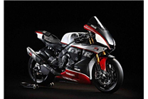 Lackierte Rennverkleidung Yamaha R1 2015 - 2019 - MXPCRV17432 2