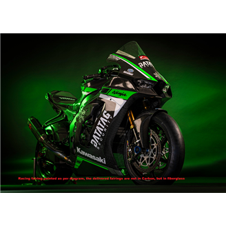 Carenado Racing Pintado Kawasaki Zx10R 2021 - 2024 MXPCRV17565