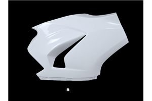 Front fairings Ducati Panigale V2 2020 - 2024 without back seat - MXPCRD16560