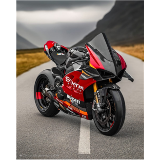 Carenado Racing Pintado Ducati Panigale V4 R 2019 - 2021 - MXPCRV17625