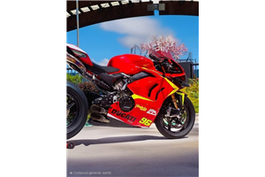 Painted Race Fairings Ducati Panigale V4 V4S 2020 - 2021 - MXPCRV17627