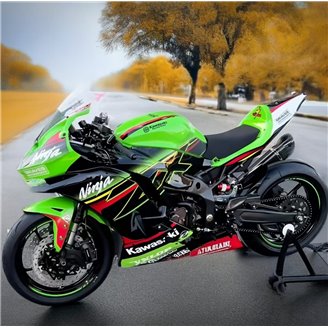 Carenado Racing Pintado Kawasaki Ninja ZX4-R 2024 - 2025 - MXPCRV17632