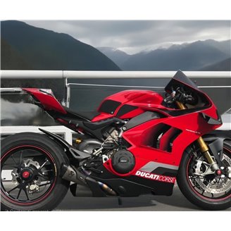 Carenage abs pour la roue avec peinture avec Ducati Panigale V4 V4S fluo 2022 - 2024 - MXPCAV17680