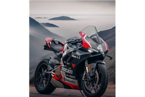 Carenage abs pour la roue avec peinture avec Ducati Panigale V4 V4S fluo 2022 - 2024 - MXPCAV17685