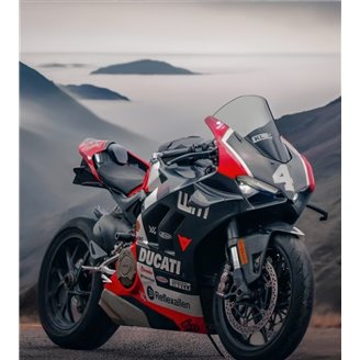 Lackierte Straße Verkleidung auf ABS kompatibel mit Ducati Panigale V4R 2018-2021 MXPCAV17686