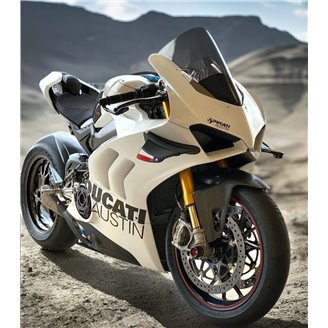 Lackierte Straße Verkleidung auf ABS kompatibel mit Ducati Panigale V4R 2018-2021 MXPCAV17688