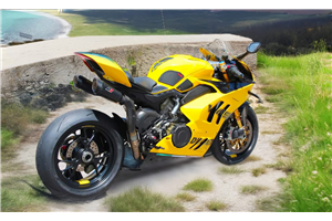 Lackierte Rennverkleidung Ducati Panigale V4 V4S V4R 2022-2024 - MXPCRV17704