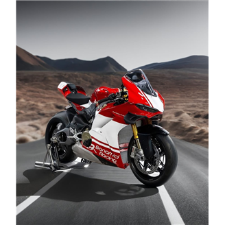 Carenado Racing Pintado Ducati Panigale V4 V4S V4R 2025 - MXPCRV17721