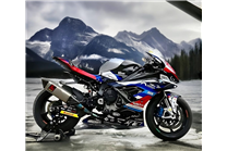 Painted Race Fairings Bmw S1000 RR 2019 - 2022 - MXPCRV17729