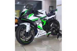 Lackierte Rennverkleidung Kawasaki Zx6-R 2024 - 2025 - MXPCRV17762