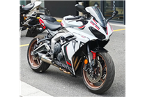 Lackierte Straße Verkleidung auf ABS kompatibel mit Triumph Daytona 660 2024 - 2025 - MXPCAV17808