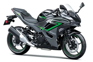 Lackierte Straße Verkleidung auf ABS kompatibel mit Kawasaki Ninja 500 2024 - 2025 - MXPCAV17827