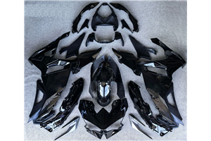 Lackierte Straße Verkleidung auf ABS kompatibel mit Kawasaki Ninja 500 2024 - 2025 - MXPCAV17829