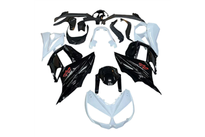 Lackierte Straße Verkleidung auf ABS kompatibel mit Kawasaki Z1000SX 2010 - 2015 - MXPCAV17925