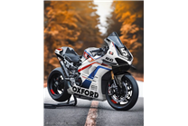 Carene Racing Verniciate Ducati Panigale V4 R 2019 - 2021 - MXPCRV17951