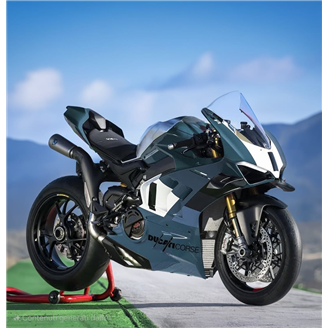 Carenage Racing Peint Ducati Panigale V4 R 2019 - 2021 - MXPCRV17952